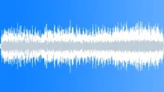 Stinger short Sound Effect
