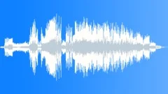 Stinger short Sound Effect