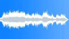 Stinger tunerSound Effect