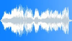 Stinger warble Sound Effect