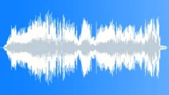 Stinger warble Sound Effect