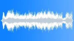 Stinger warbleSound Effect