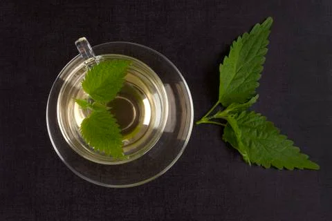 Stinging nettle. Stock Photos