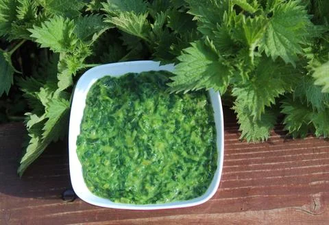 Stinging nettle spinach Stock Photos