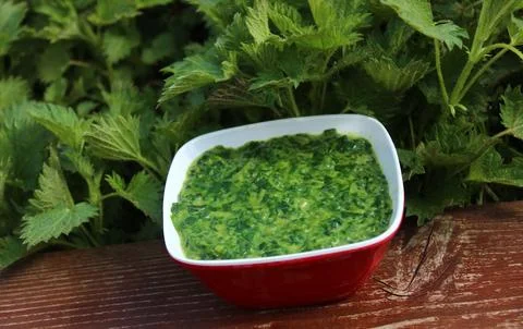 Stinging nettle spinach Stock Photos