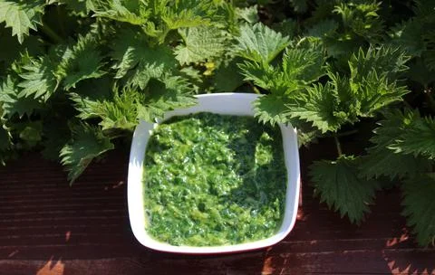 Stinging nettle spinach Stock Photos