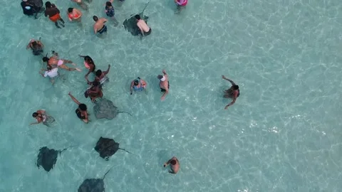 Stingray, Cayman islands - 5th march, 2021: Top down pan view tourist in crys Stock Footage 158177193