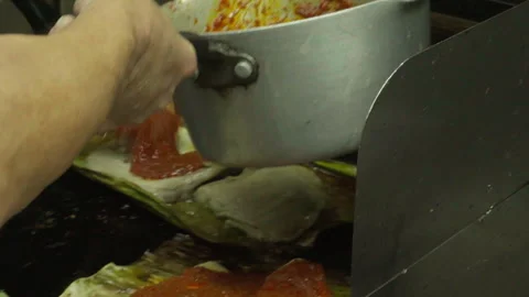 Stingray Sauce 60fps 스톡 동영상 316072340