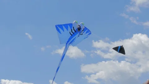 Stingray Shaped Kite and Two Twin Kites Stock Footage 127540088