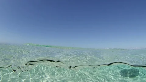 Stingray, splitshot Sting Ray beach Stock Footage 83791476
