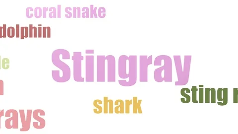 Stingray Tag Cloud Animated Isolated On White Stock Footage 107243174