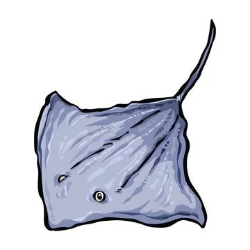 Stingray vector art illustration. Stock Illustration
