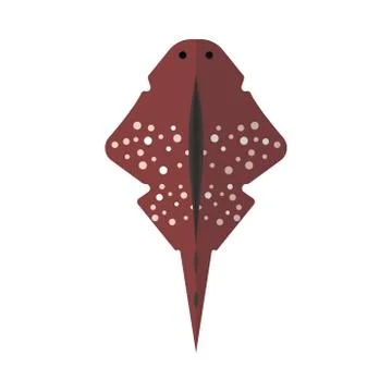 Stingray vector top view nature aquatic exotic seafood. Sea wild animal flat  Иллюстрация