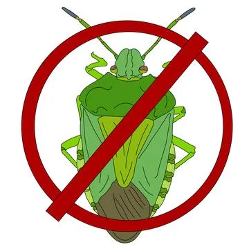 Stink bug or Pentatomidae icon. Flat colorful pictogram. Shield bug crossed o Stock Illustration