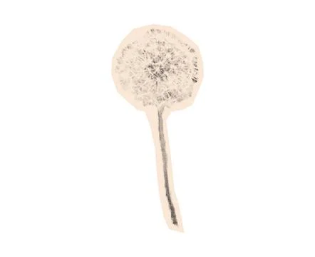 Stippling halftone dandelion bloom flower with retro photocopy grain effect. 库存插图