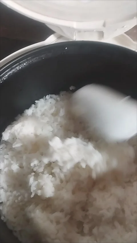 Stir in the cooked rice Stock Footage 291761716