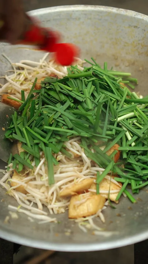 Stir-fried bean sprouts with fried tofu and chives. Stock Footage 337464936