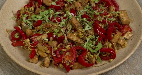 Stir-fried sprouted mung bean with tofu and red pepper. Stock Footage 295373906
