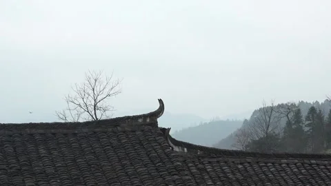 Stir-fried vegetables in the firepit Stock Footage 235133919