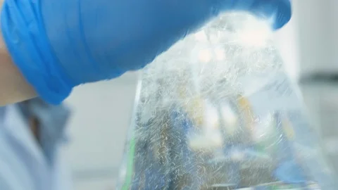 Stirring buffer in flask Stock Footage 113399476