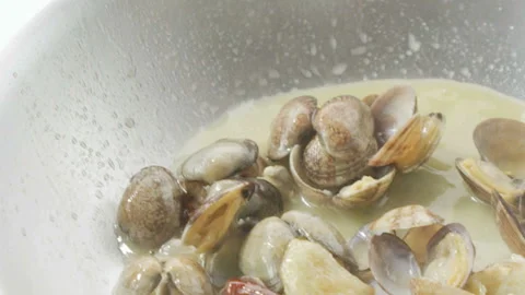 A Stirring of Clams Stock Footage 327411506