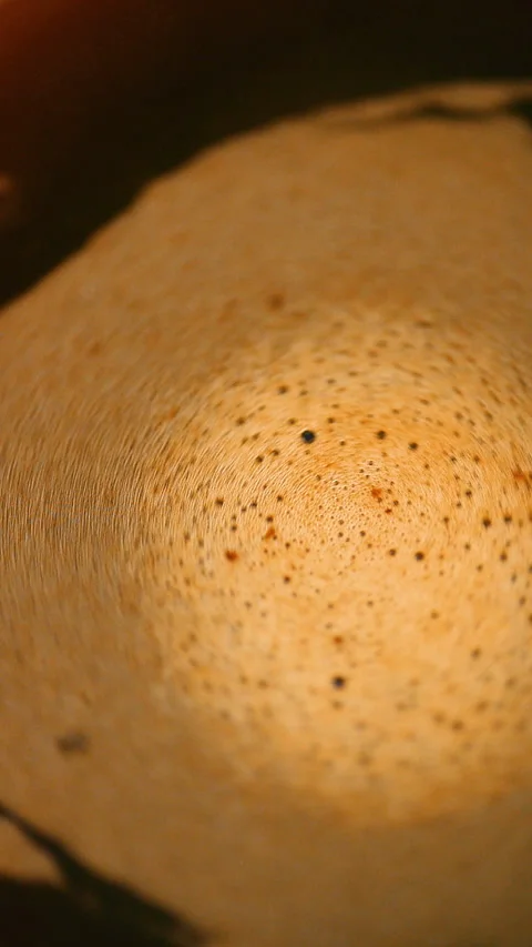 Stirring Fresh Coffee Macro Shot Hot Drink Texture Stock Footage 325704625