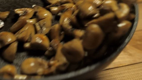 Stirring fried mushrooms in a pan close-up Stock-Footage 107724081