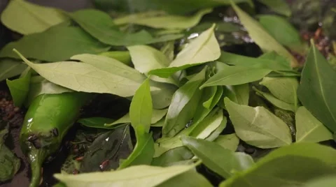 Stirring a mix of Indian spices, herbs, chillies etc in a hot pan with oil Stock Footage 62829005