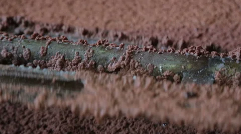 Stirring of potassium mush Stock Footage 52857150