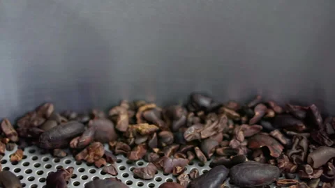 Stirring roasted coffee beans close-up. Stock Footage 165450382