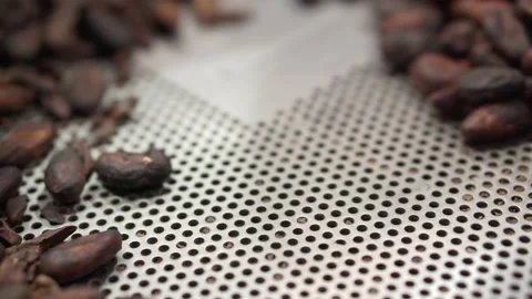 Stirring roasted coffee beans close-up. Stock Footage 166564530