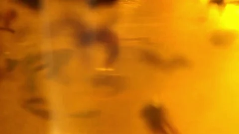 Stirring tea in a glass Stock Footage 74848249