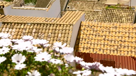 Stirring white flowers on balcony Stock Footage 64854792