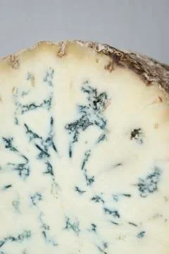 Stitchelton cheese close up Stock Photos