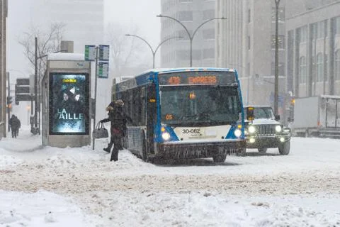 STM bus Stock Photos