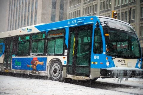 STM bus Stock Photos