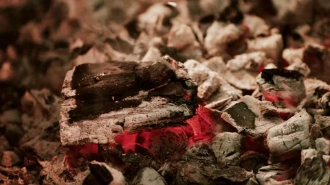 Stock 01 Stock Footage 158741057