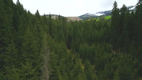 Stock 2 1 Stock Footage 245162523