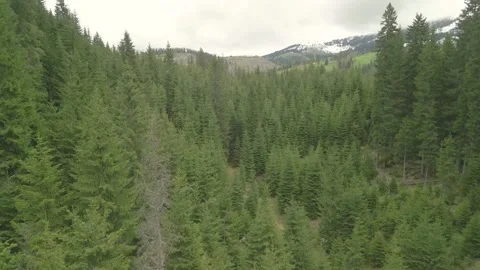 Stock 2 2 Stock Footage 245162507