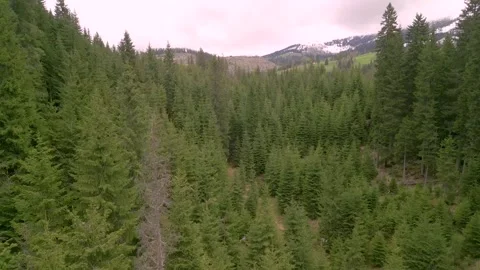 Stock 2 3 Stock Footage 245162509