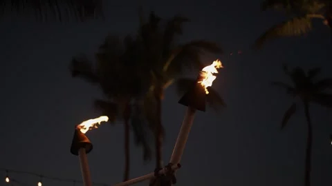 Stock 28 Video stock 301211893