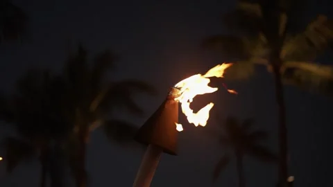 Stock 29 Video stock 301211888