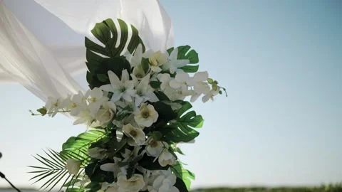 Stock 6 Video stock 301212016