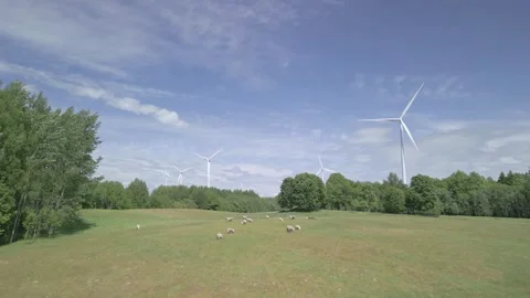 Stock 8 1 Stock Footage 245175372