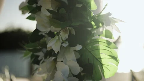 Stock 9 Video stock 301212000