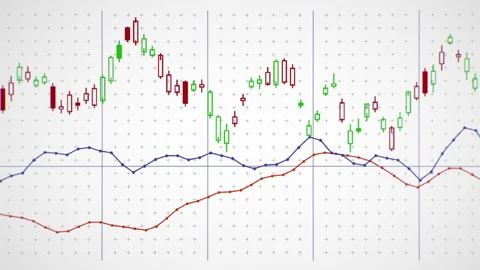 Stock in Candlestick Chart Stock Footage 163295448