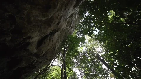 STOCK CAVE FACADE WITH TREES LOOKING UP HD 24FPS Stock Footage 131940295