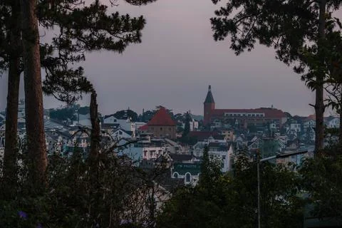 Stock Cityscape Framed by Pine Trees Stock Photos