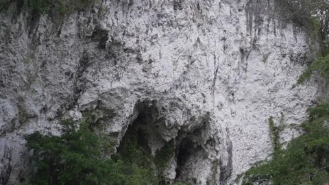 STOCK FACADE ROCK FORMATION AND TREES HD 24FPS Stock Footage