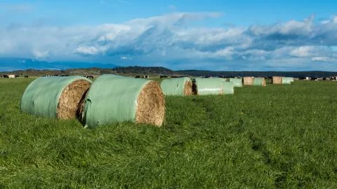 Stock feed outs Stock Photos